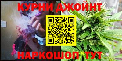 крисы Севастополь