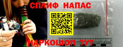 крисы Севастополь